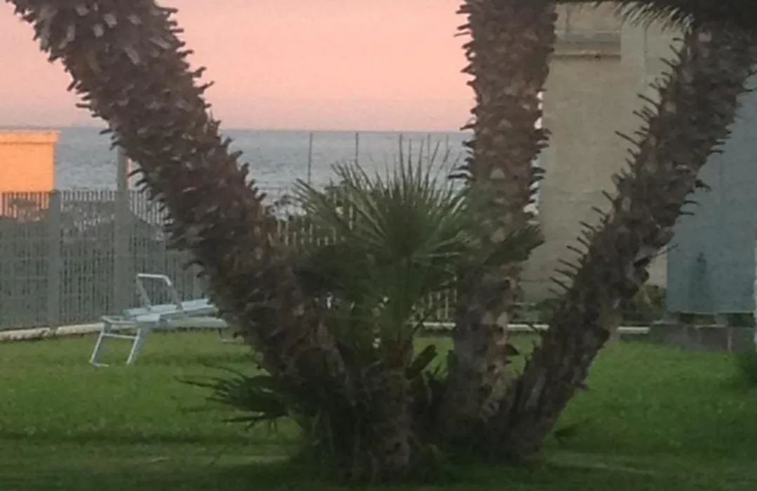 Villa Sara B&B-1